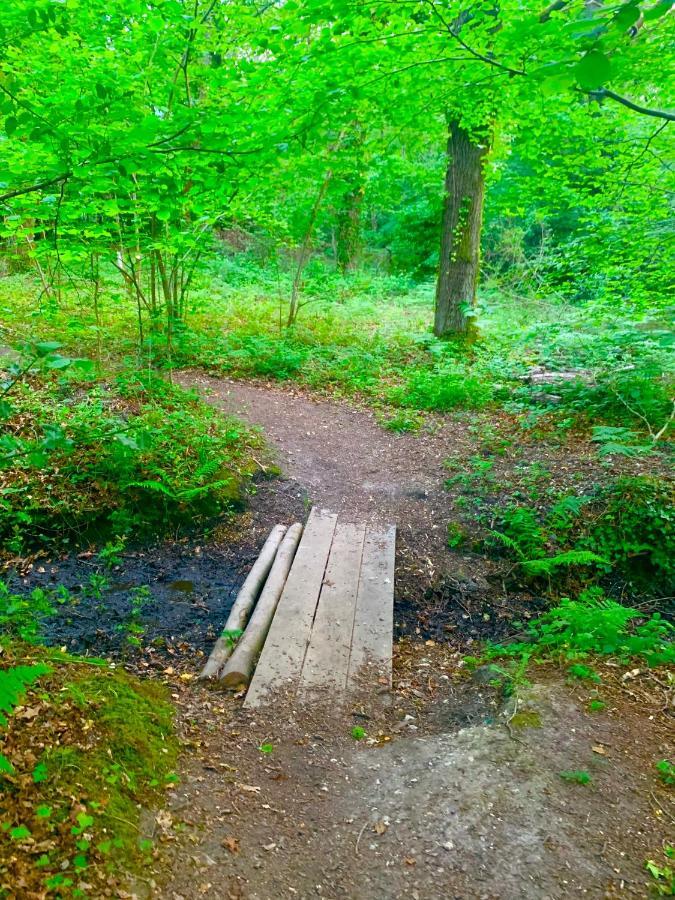 Forest Beach Bashley Park Sway Zewnętrze zdjęcie