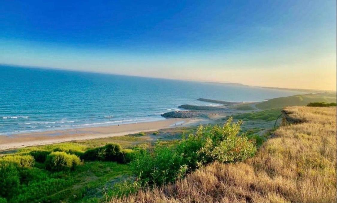 Forest Beach Bashley Park Sway Zewnętrze zdjęcie