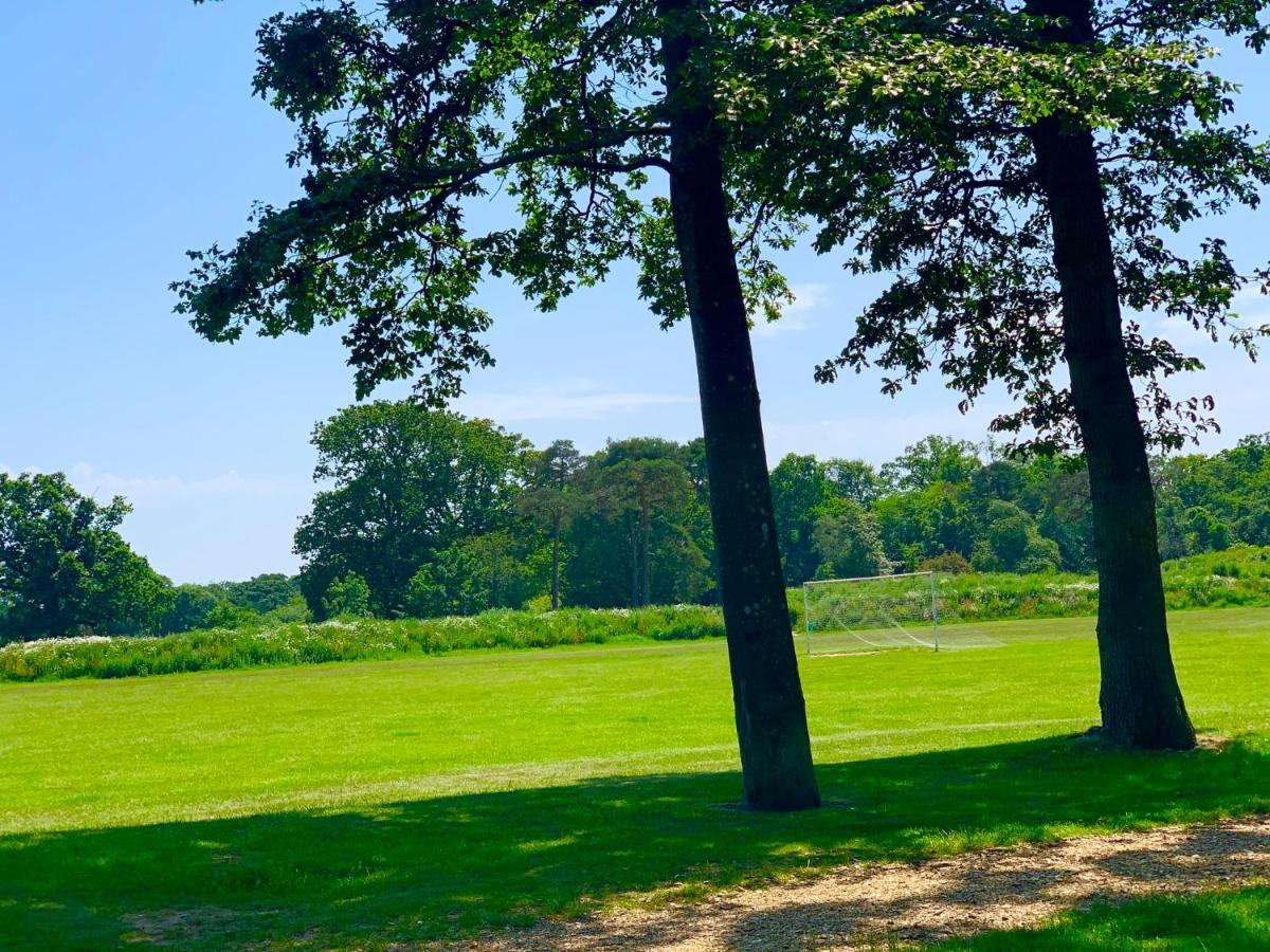 Forest Beach Bashley Park Sway Zewnętrze zdjęcie